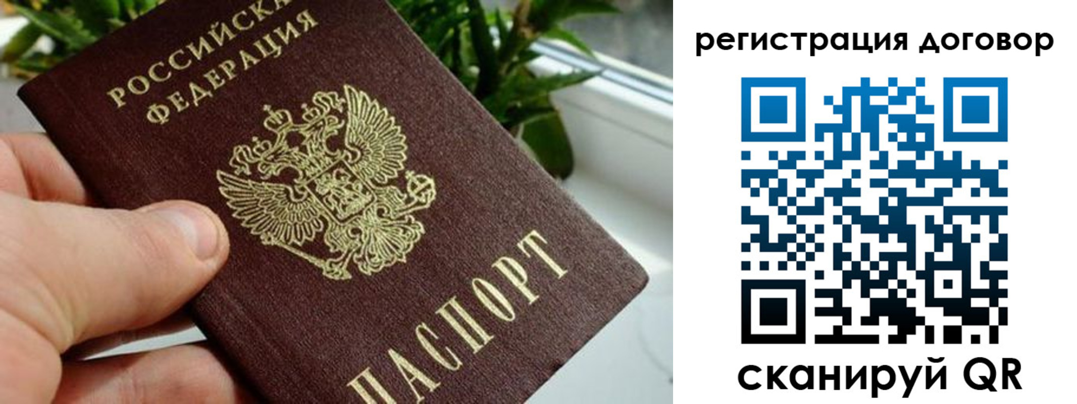 прописка ребенка в Волхове